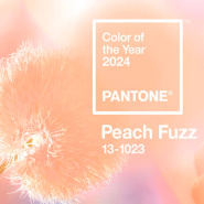 Цвет 2024 года — Peach Fuzz (Персиковый пух)