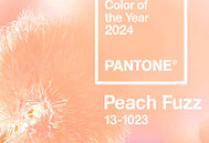 Цвет 2024 года — Peach Fuzz (Персиковый пух)